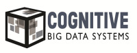 Cognitive Big Data Systems